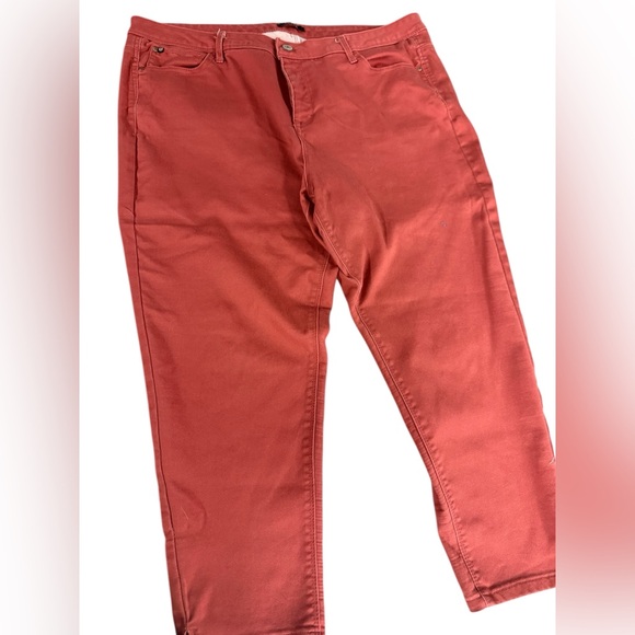 Curve Appeal Pants - Curve Appeal Rust Skinny Pants Size 20W Plus Stretch